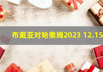 布戴亚对哈撒姆2023 12.15